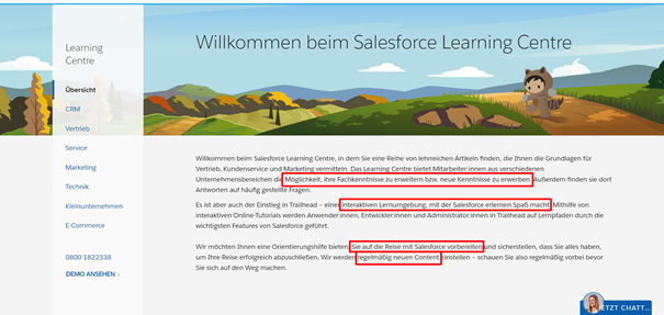 Beispiel Salesforce Learning Center