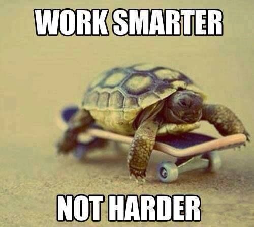 Work Smarter, Not Harder - Text auf dem Bild einer Schildkröte auf einem Skateboard