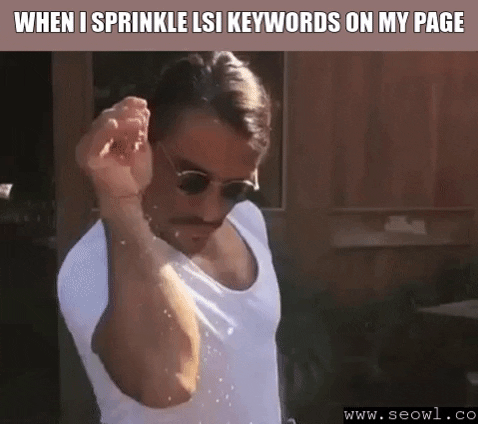 Gif: "When I sprinkle LSI Keywords on my Page"