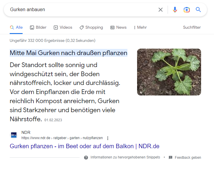 Featured Snippet bei der Google-Suche nach "Gurken anbauen"