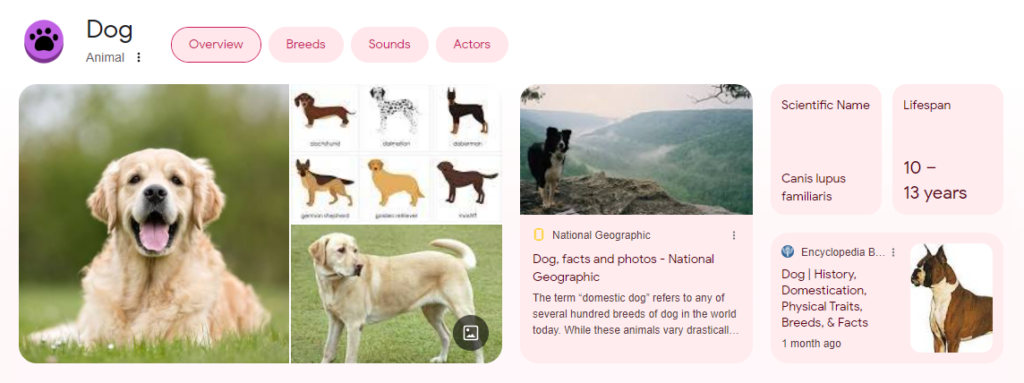 Optisch auffälligeres Knowledge Panel zum Keyword "domestic dog" in Google