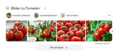 Image Pack als neues Google SERP-Feature 2023
